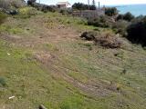 Terreno agricolo  con vista mare in vendita a Licata